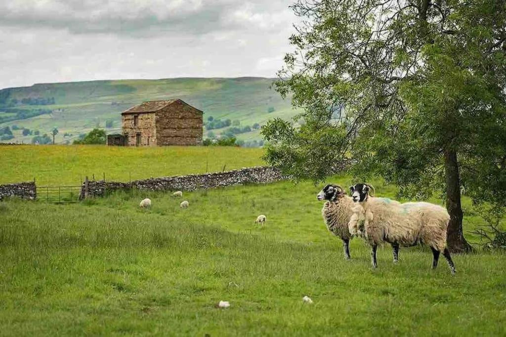 Westside Cottage, Newby, Clapham, Yorkshire Dales National Park, Famous Three Peaks, Near The Lake District, Pets Are Welcome Newby  Екстериор снимка
