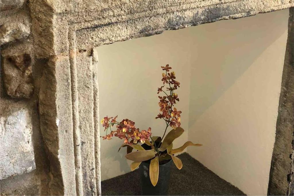 Westside Cottage, Newby, Clapham, Yorkshire Dales National Park, Famous Three Peaks, Near The Lake District, Pets Are Welcome Newby  Екстериор снимка